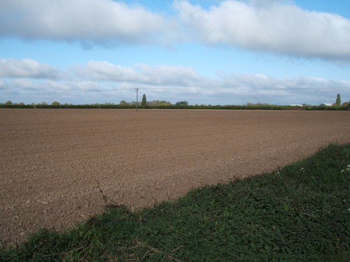 Photo 6x4 field - photo, the