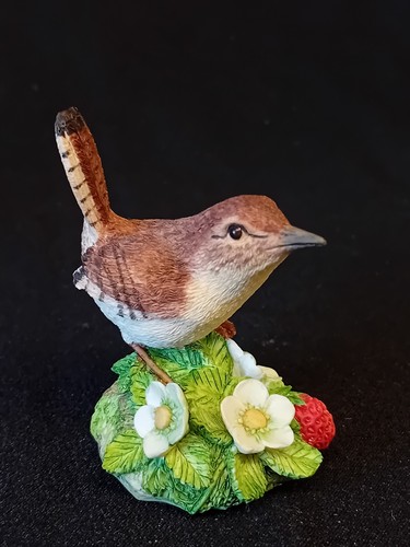 Border fine arts jenny wren - 'jenny, wren'
