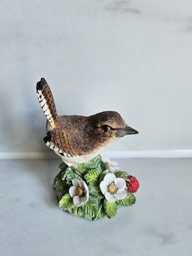 Border fine arts jenny wren - border,
